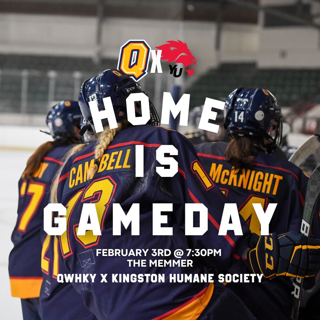 Queen's Gaels Women's Hockey tweet media