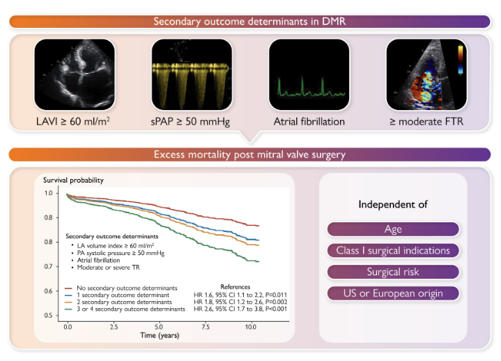 VDelgadoGarcia's tweet photo. Congratulations @SteeleButcherMD 👏👏👏 Factors influencing post-surgical survival in degenerative mitral regurgitation @Hartcentrum  @FedeFortuni9 @GiovanniBenfari @EssayaghBen @NAjmoneMarsan @mitralcenter @ValveDisease @hgermanstrias @GTRecerca https://t.co/7xZb5mihkV