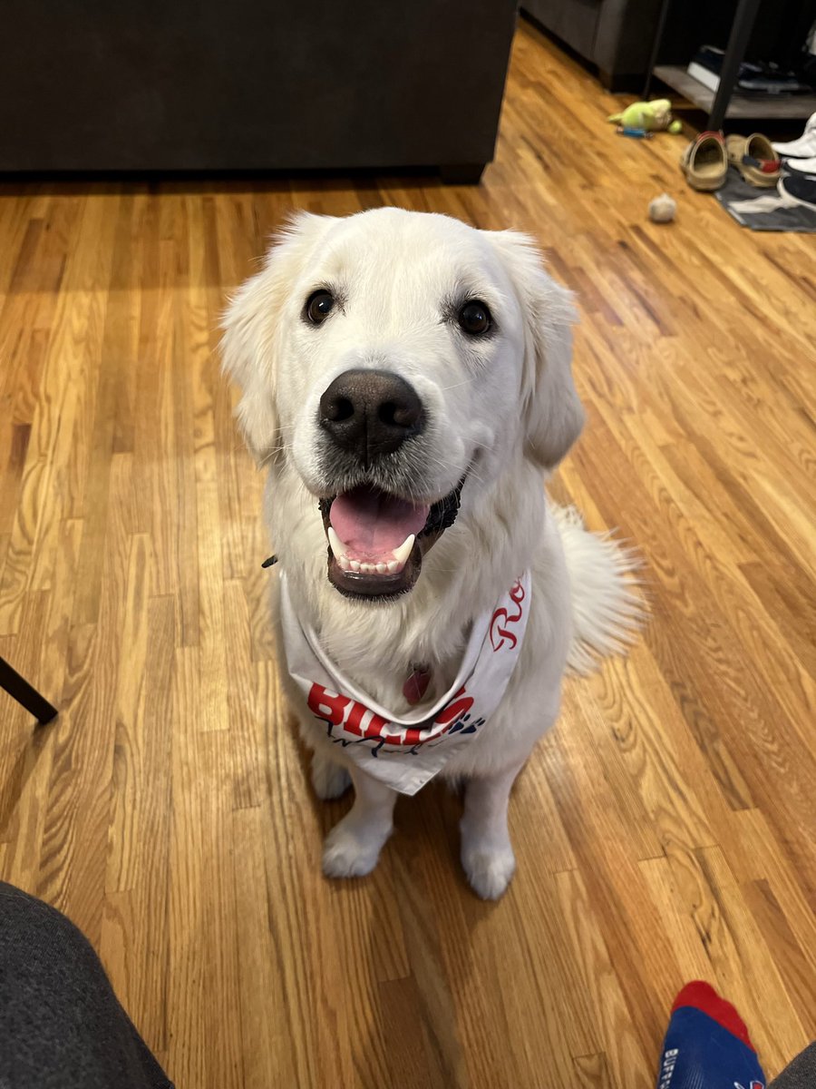 Timmmy_Jimmmy's tweet photo. @WGRZ This is Rosie #buffalobills #dogsofbuffalo https://t.co/f2PvP5Ijp3