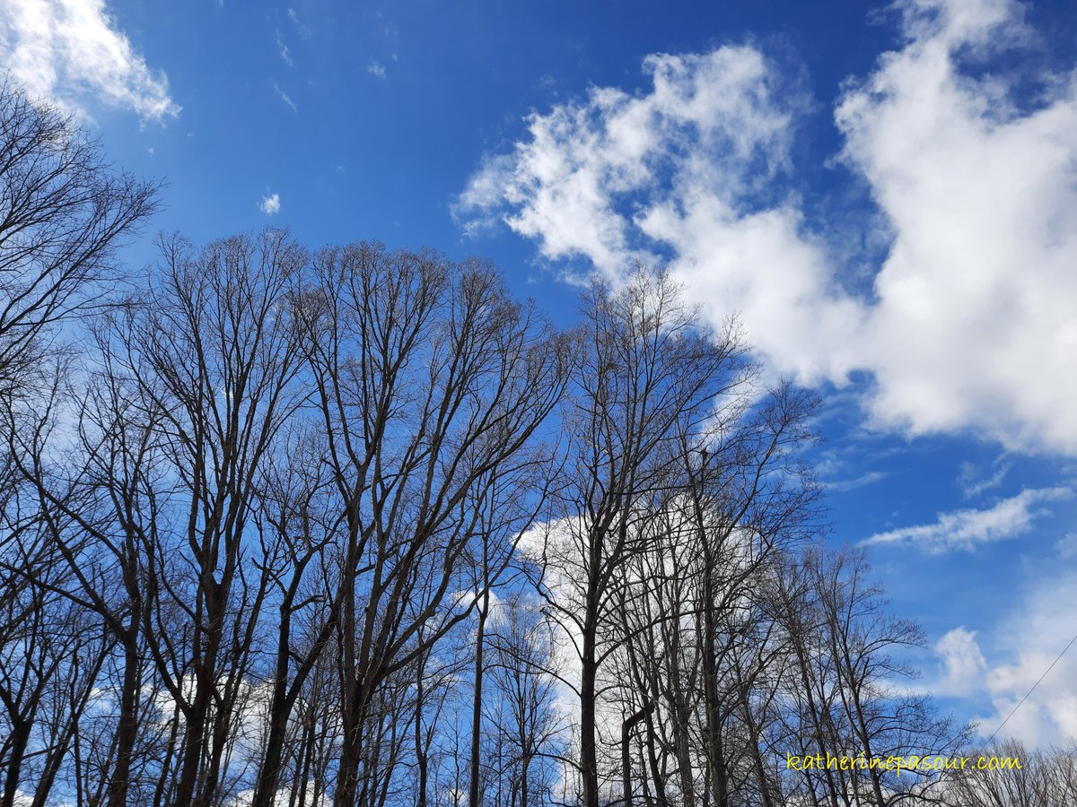 KatherinePasour's tweet photo. I'm thankful for the gift of something that's been missing all week--blue skies and sunshine! I hope your day is blessed, my friends. #sunshine #Blessings #springwillcome https://t.co/Ug4n3lodJ8