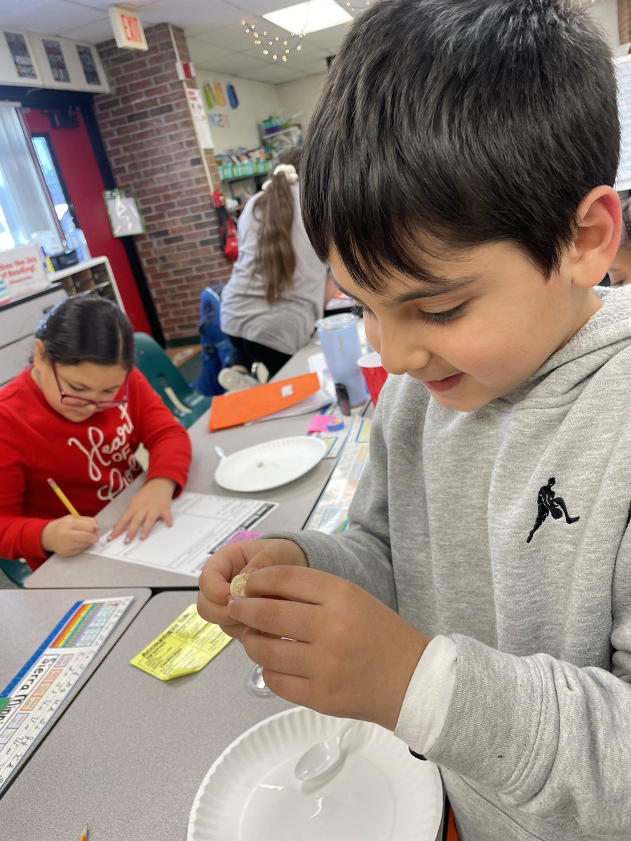 3rd graders dissected lima beans to learn more about a plants life cycle. <a href="/hillerwildcats/">Hiller Elementary | The Lamphere Schools</a> #wearelamphere