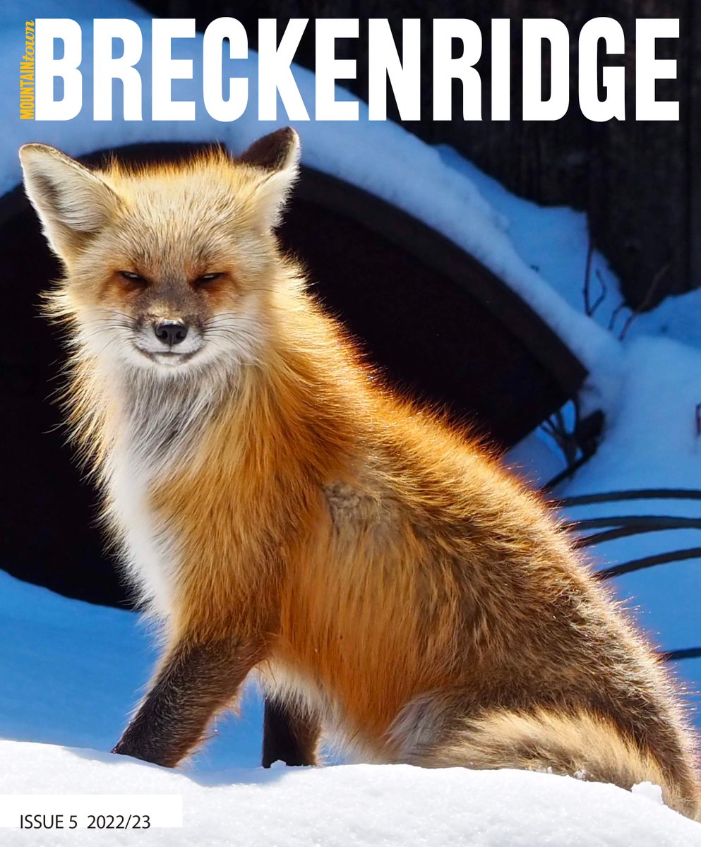MTNTownBreck's tweet photo. Have you read the latest issue? So damn good! Local stories written by local people! https://t.co/QIhcAexMen https://t.co/HBOUzC3eIC