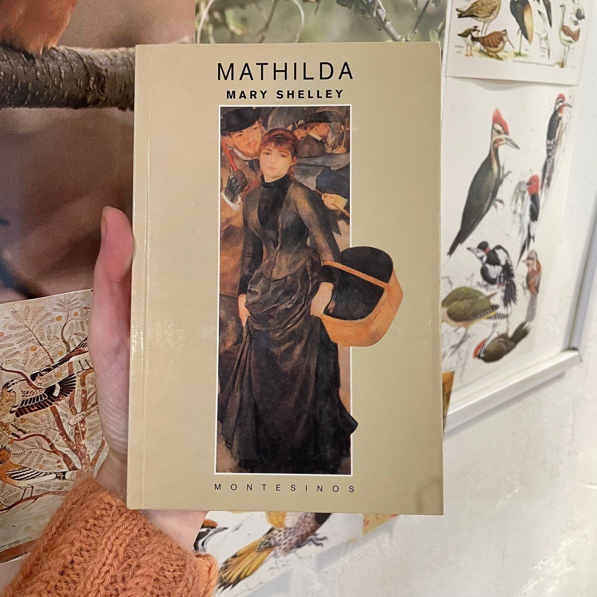 ¡Y yo, con mi cara de paloma y mi corazón de zorro! 
#MaryShelley #Mathilda #inventarnosDRAMA #MásDrama #NarrativaRomántica  #SegundaMano #UbúLibros #librosturbios #librosbienescritos