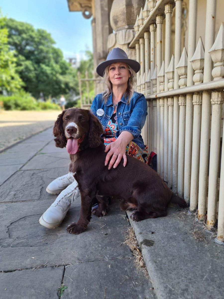 #brighton #uk #spaniel #holiday #beach #landmark
