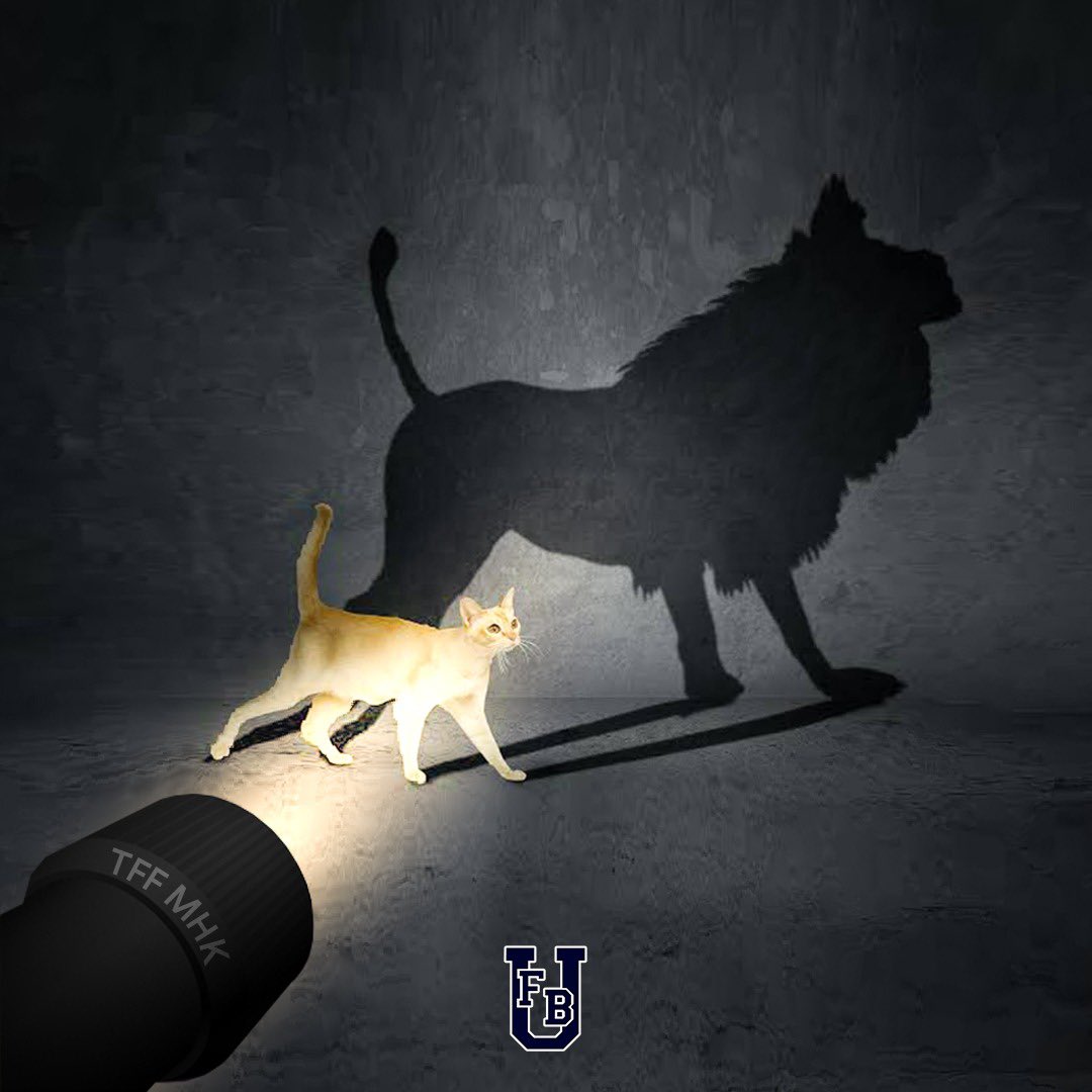 Yardım ve yataklık ile büyük olunmaz!