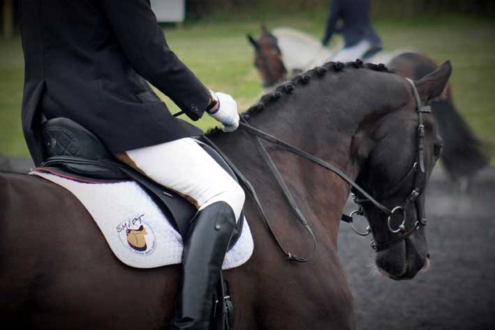 SMART Saddles February Newsletter 📰 - Where to see SMART Saddles, Special offers and more ... mailchi.mp/smartsaddles.c…