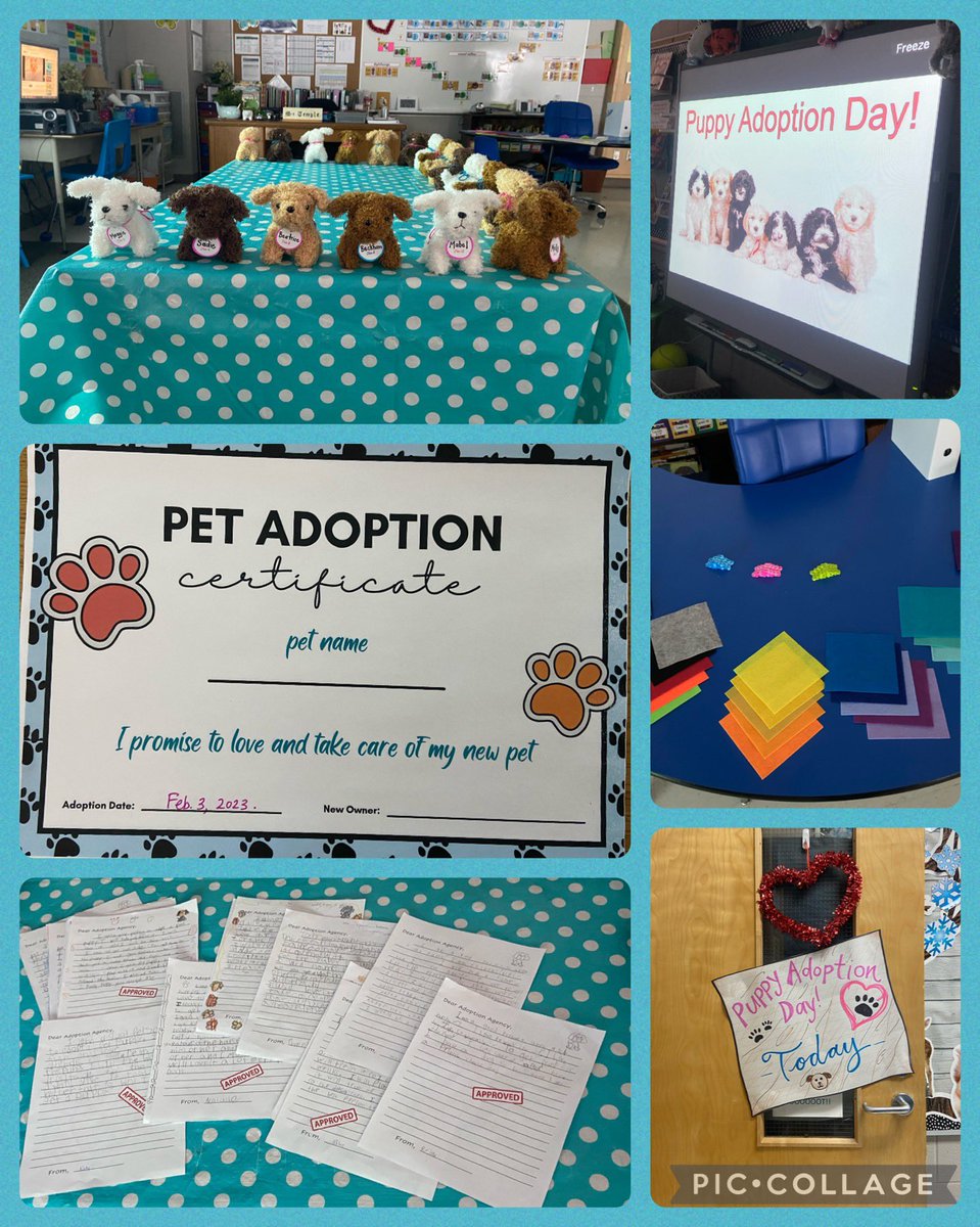 TempleTVDSB's tweet photo. Today was Puppy Adoption Day after students wrote convincing persuasive letters saying they would be great pet owners! Thank you to Locke’s PVA for supporting this fun day! #lockespride #tvdsb #lockespva https://t.co/3BNlubmXst