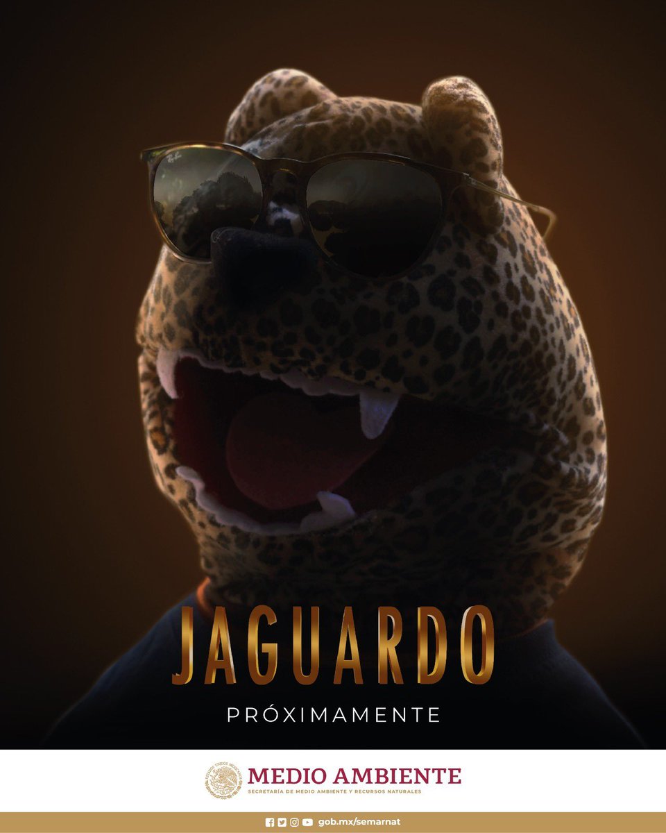 SEMARNAT_mx's tweet photo. ✨ Tenemos una gran noticia para ti. ¡Nuestro guardaparque favorito regresa con más aventuras! 🐾🐆

¡No te lo pierdas!
🗓️ Todos los domingos.
▶️  A través de nuestras redes sociales. 

#SomosMedioAmbiente https://t.co/ahU8FpIhtH