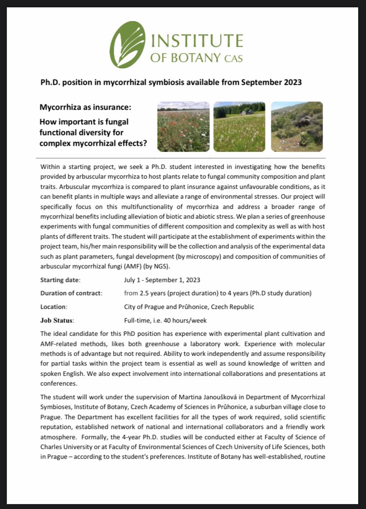 southmycorrhiza's tweet photo. 📣 Position Announcement 📣 

Ph.D. position in mycorrhizal symbiosis available from September 2023 in Prague: “Mycorrhiza as insurance: How important is fungal functional diversity for complex mycorrhizal effects?”
More info 👇
https://t.co/T2HeE3RKau https://t.co/wcoYdf7q9a