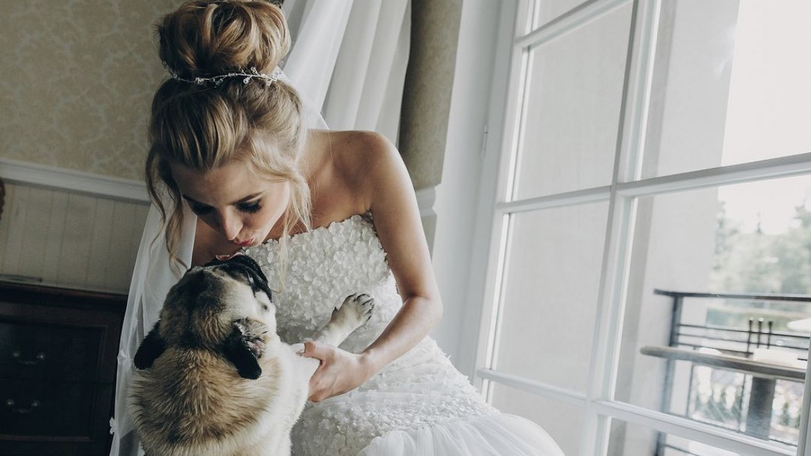 Want your dog to join you on your big day? 

Shop everything you need to have your dog wedding day ready at bnydogs.com

#dogclothing #dogaccessory #stylishdog #luxurydog