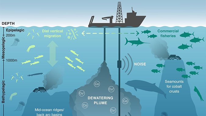 ECOWARRIORSS's tweet photo. Deep sea mining will be one of greatest criminal acts ever committed by humans on natural world 
Countless species most of we are not even aware off will be destroyed 
A landscape untouched for millions of years will be destroyed to maintain growth economics 
BAN DEEP SEA MINING https://t.co/ilP7XrSUqi