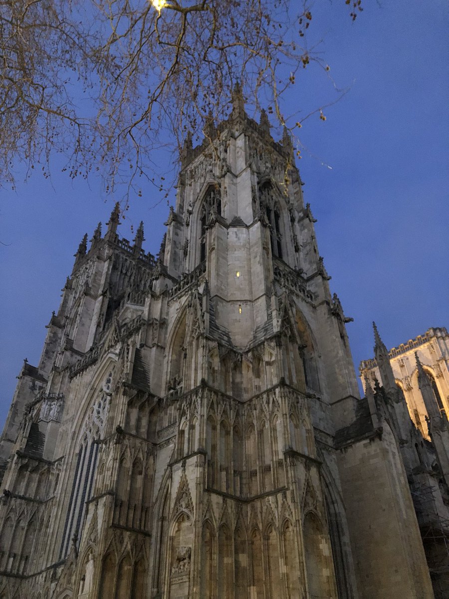 Sannah Ali tweet media