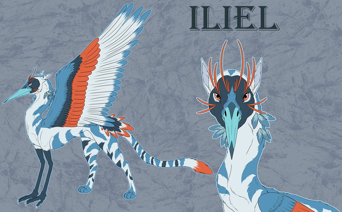 Zerzer_94's tweet photo. My own gryphon character Iliel : ))) 
#crane #reference #gryphon #fullbody #bust #flatcolor https://t.co/Fvg2N4XUfZ