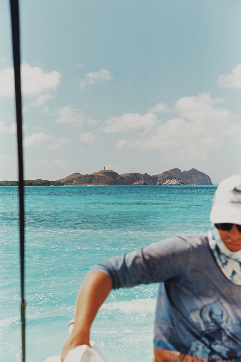 Gustavo Mármol tweet media