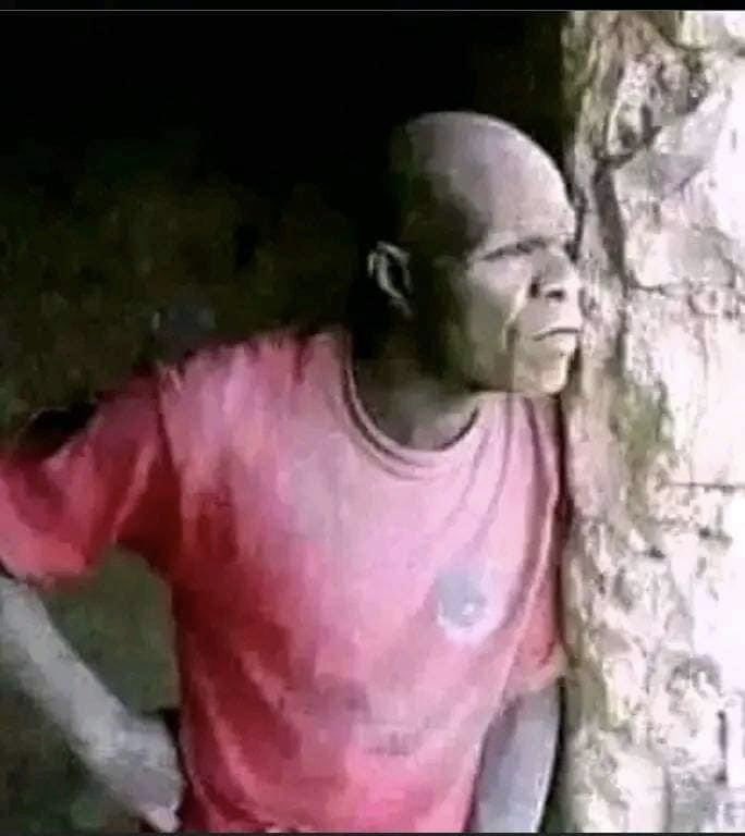candolouis90's tweet photo. Afriken sa fin fè 3M Francs nan bòlèt 
Li kwaze ak sè Dyemèn epi sè Mimoz
Epi boom, kk voye sou li😁 https://t.co/dAMBCSD98Z