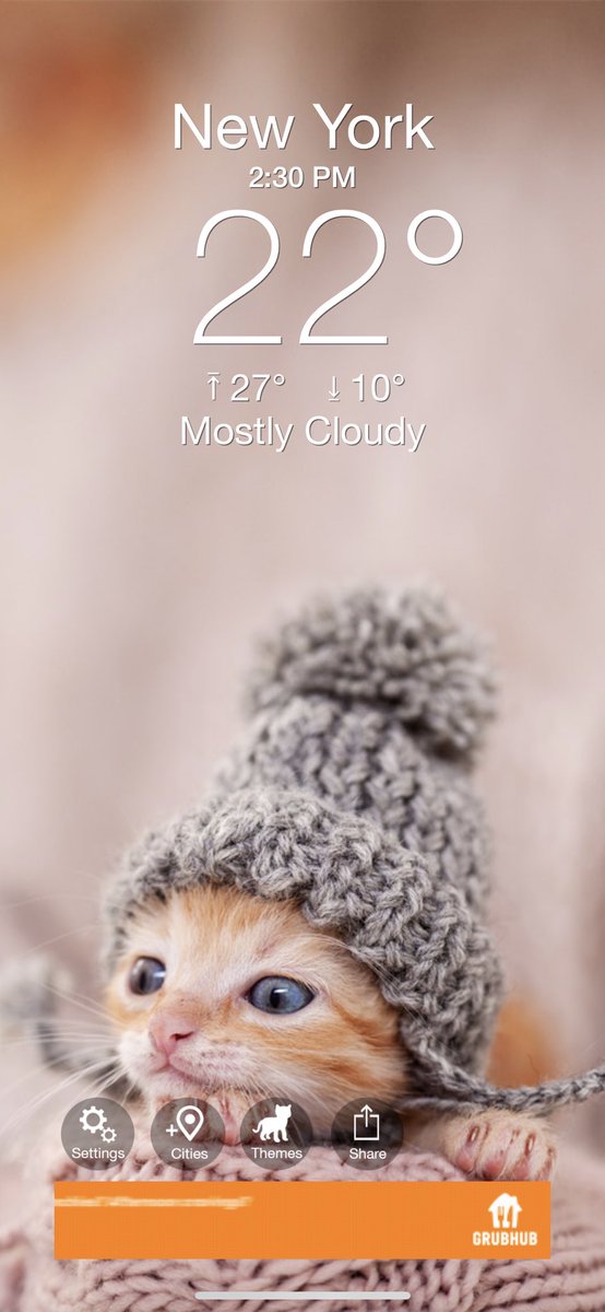 Purple_Dali's tweet image. I was checking temperatures on Weather Kitty. This is just adorbs.