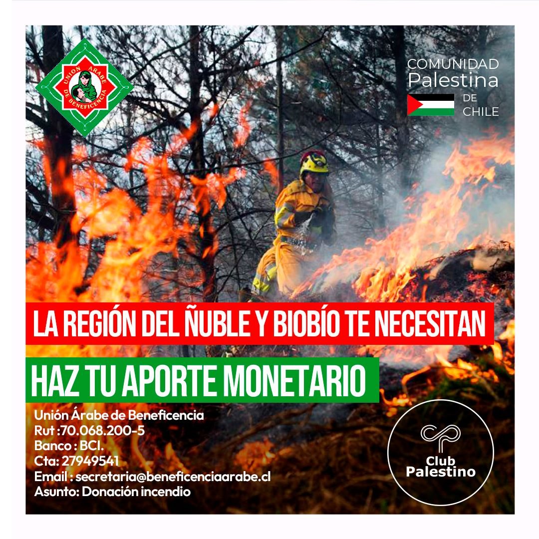 Club Palestino tweet media