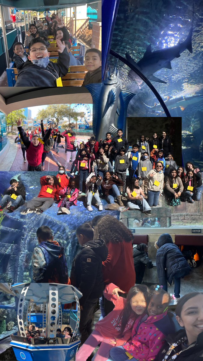 Providing children with experiences!!! Congratulations to our @GrayES_AISD eagles who have accomplished perfect attendance!!!! Look at those smiles!!! Love being a part of their experiences. #GrayEagles #learningonthego #DowntownAquarium