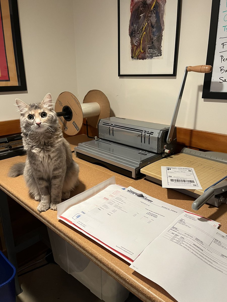 Meet Sammy, the music publishing cat. She’s extremely involved in every step of preparing each order. And yes, she is named after Samuel Coleridge-Taylor.