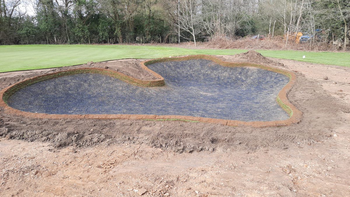 Lee Bishop tweet media