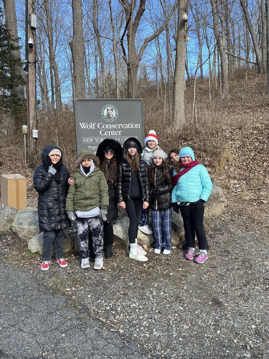 MissRosano's tweet photo. Culminating field trip to the Wolf Conservation Center after finishing our class novel, Julie of the Wolves, kids got to experience wolves and subzero temperatures! We Survived! 🥶❄️ @Mr_SClay @scofieldmagnet https://t.co/aMsfGaspnB