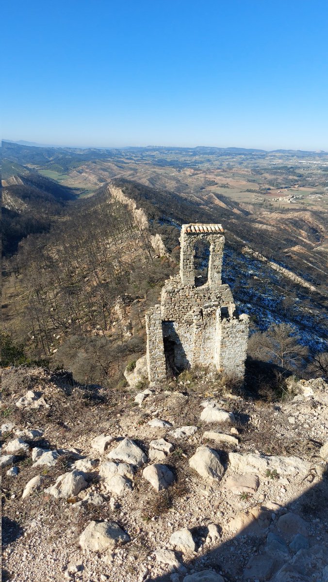 Aurorapamina's tweet photo. Aquest bosc va cremar el 24 de juliol del 21. Una ferida oberta que reneix poc a poc, vida de nou. Bona nit colla bonica #Bellprat. https://t.co/sf6gjY6i5j