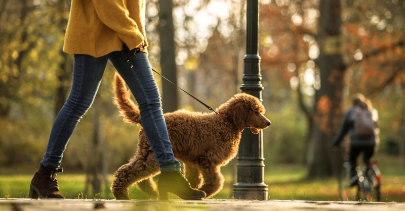 WSJ's tweet photo. Small strategies make it easier to get more physical activity.