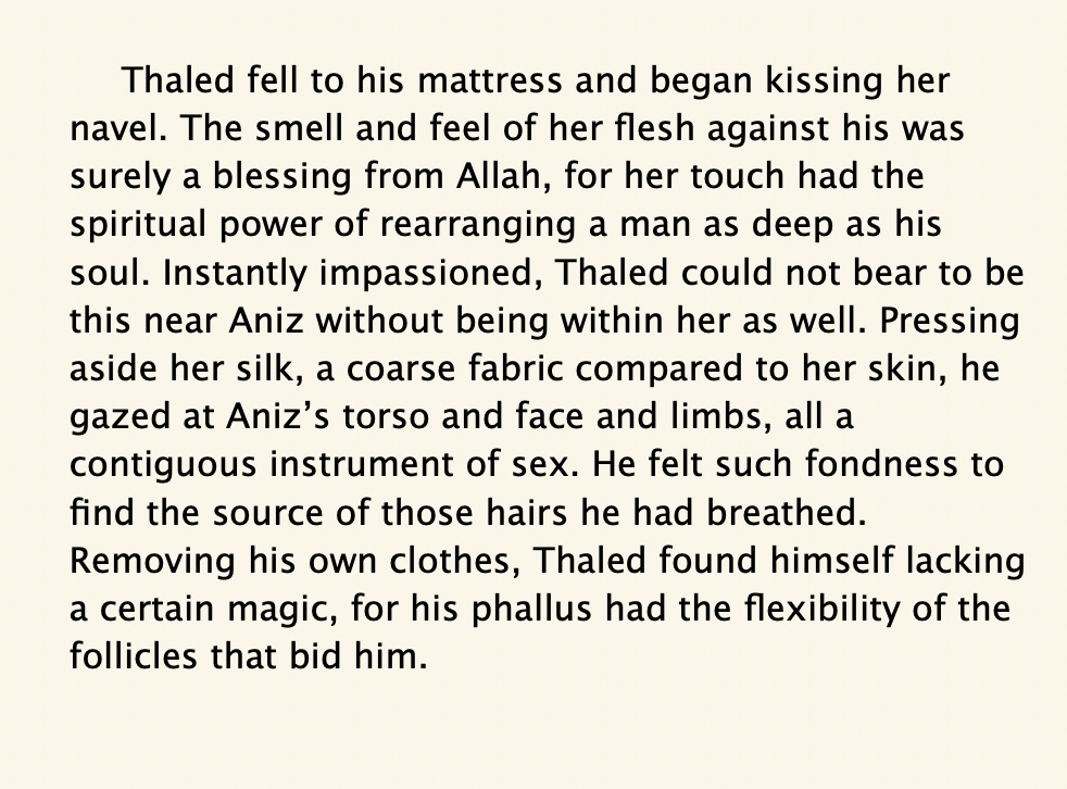 from IMAGINED EVENINGS