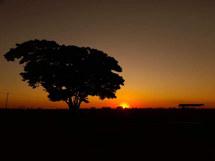 SaraNatMeza's tweet photo. Los detalles de un atardecer 🤩
📸 https://t.co/cLlikdAWhX