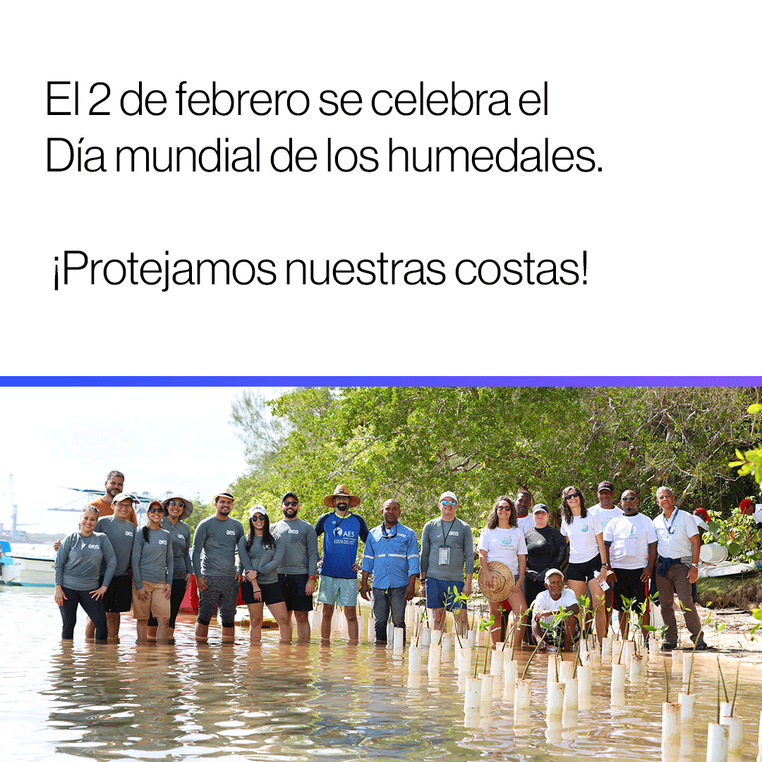 AESDominicana's tweet photo. En conmemoración del Día de los Humedales recordamos nuestra siembra de mangles en Boca Chica. Estos mangles funcionaran como un hogar para una diversidad de peces, y como un muro natural para las costas. https://t.co/SGYmoJUloC