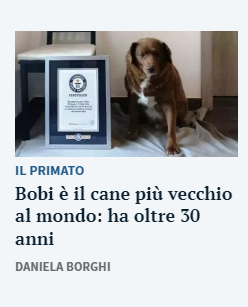 GMDeFrancesco's tweet image. #Journos