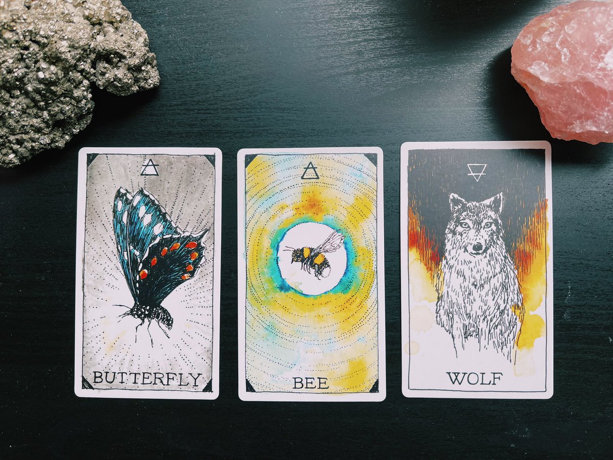 Mystic Sisterhood | NOW MINTING tweet media