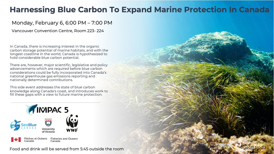 Excited to present at @IMPAC5Canada next week as part of a side event on mobilizing #bluecarbon science and policy to expand #marineprotection in Canada. See you all in Vancouver! @baumlab  @sdfuller @Graham_Epstein @SeaBlueCanada  @WWFCanada  @DFO_Science #ProtectBlueNature.