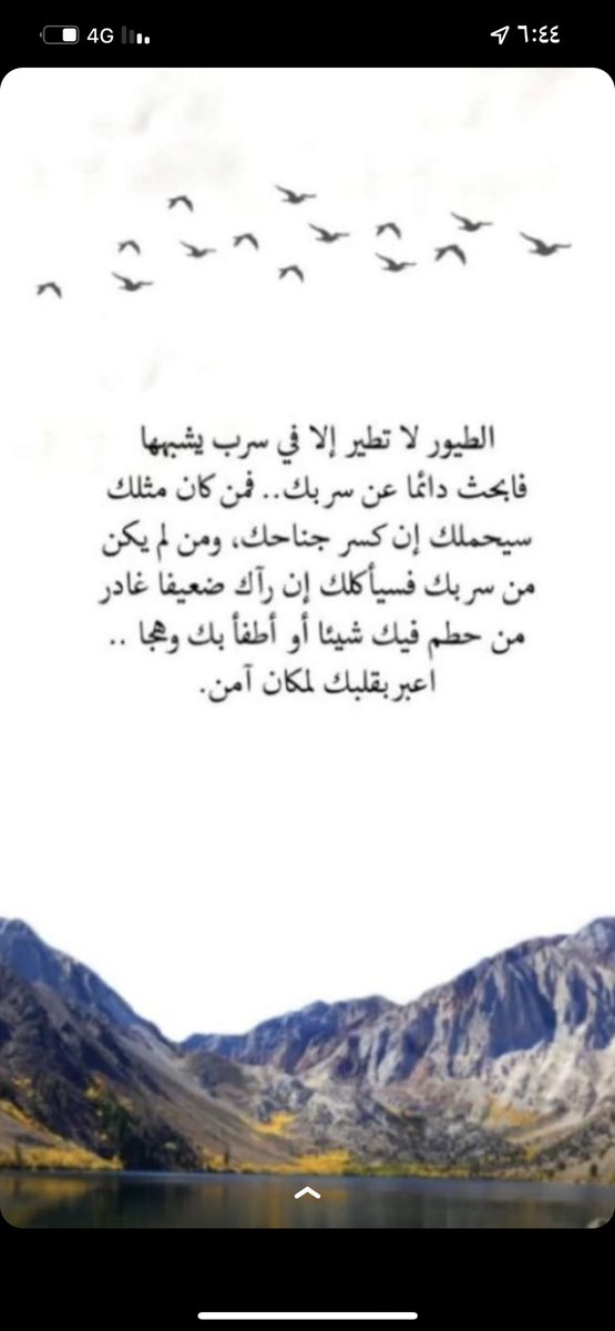 1437O2's tweet image. 