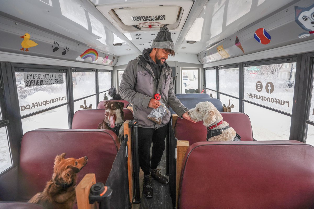 leahhennelphoto's tweet photo. Denzel Morrison, owner of Ruff and Puff, loads passengers onto his adventure school bus for dogs, in Calgary, Alberta. Pups are picked up and dropped back off at their homes after playing in a local park. @ruffandpuffyyc #dogs #yyc #dogschoolbus https://t.co/SoW6H0FlZB