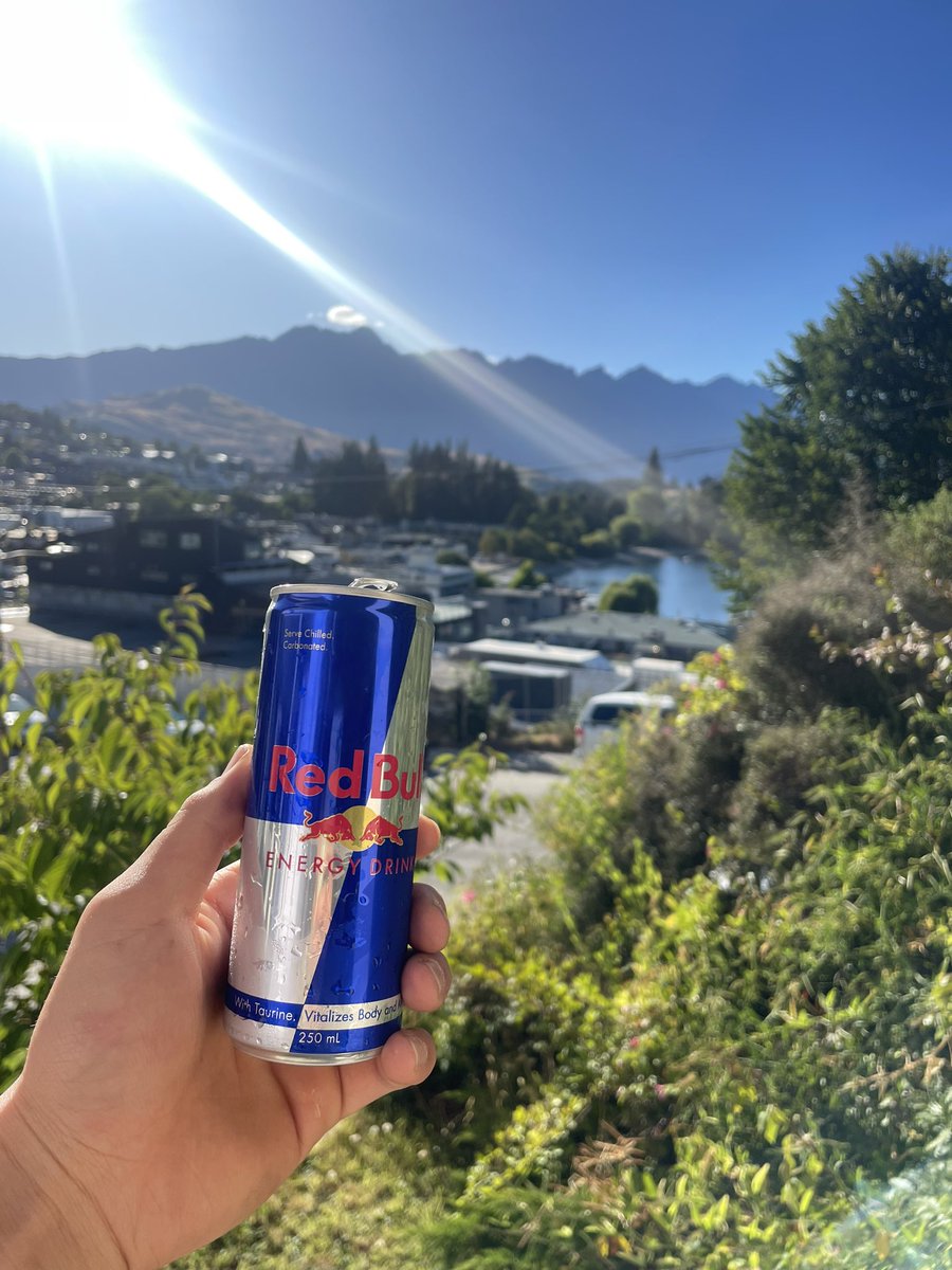 ニュージーランドは夏です🤟
朝が気持ちいい〜