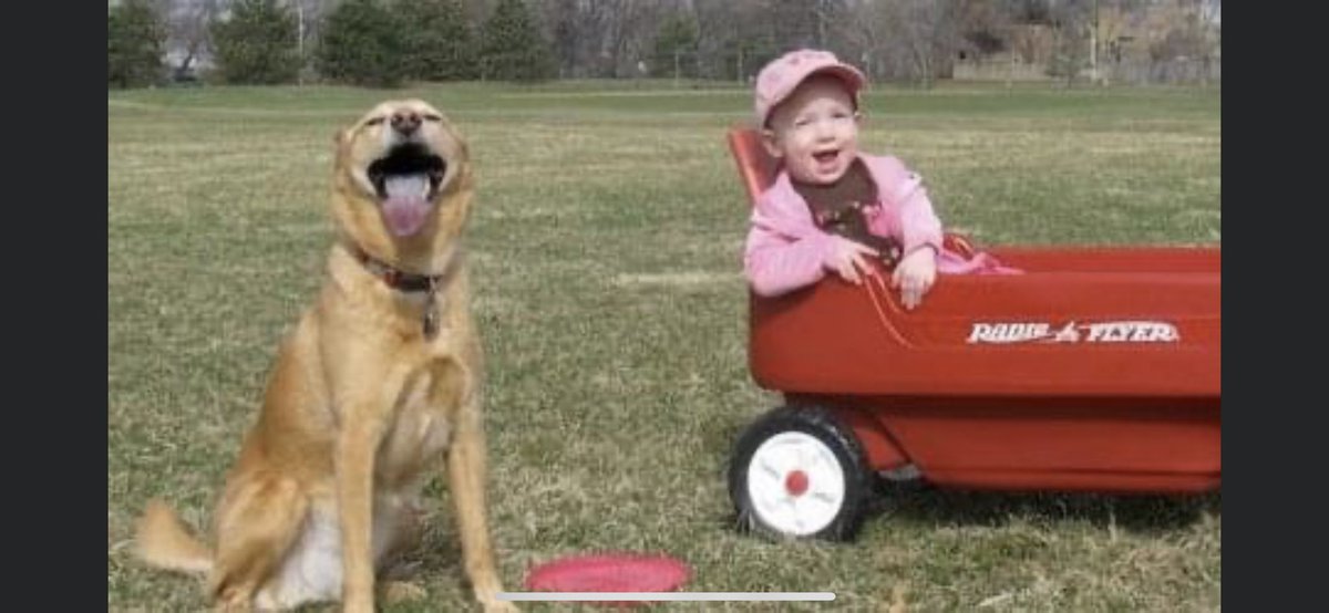 NolinBill's tweet photo. @jessi_pierce Thanks Jessie we had to euthanize our 18 year old “pup” recently and seeing our daughter smile whenever she was around makes me smile. https://t.co/iUvgPlswOm