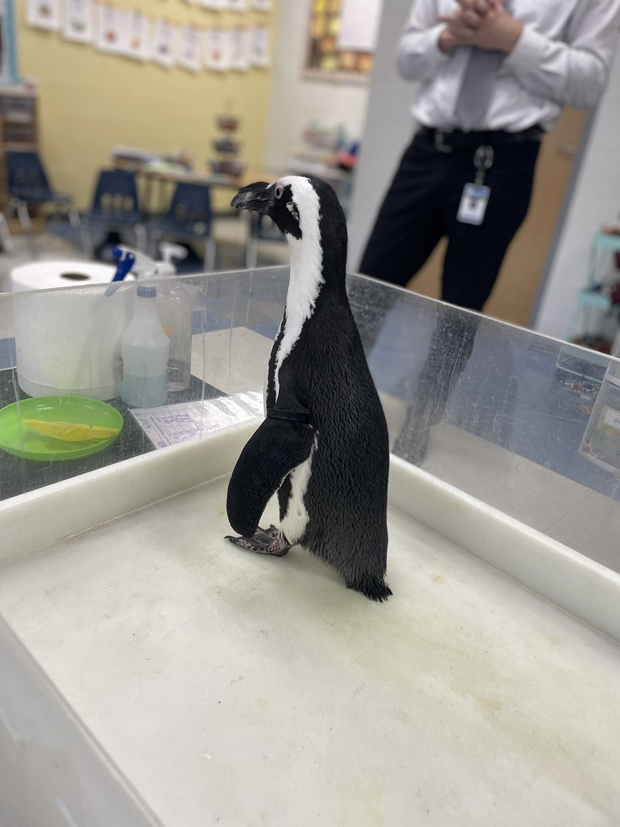 Jackie Heinzelmann tweet media