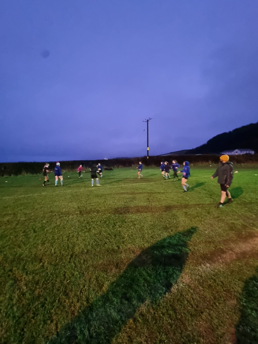 Bae Ceredigion Rugby tweet media