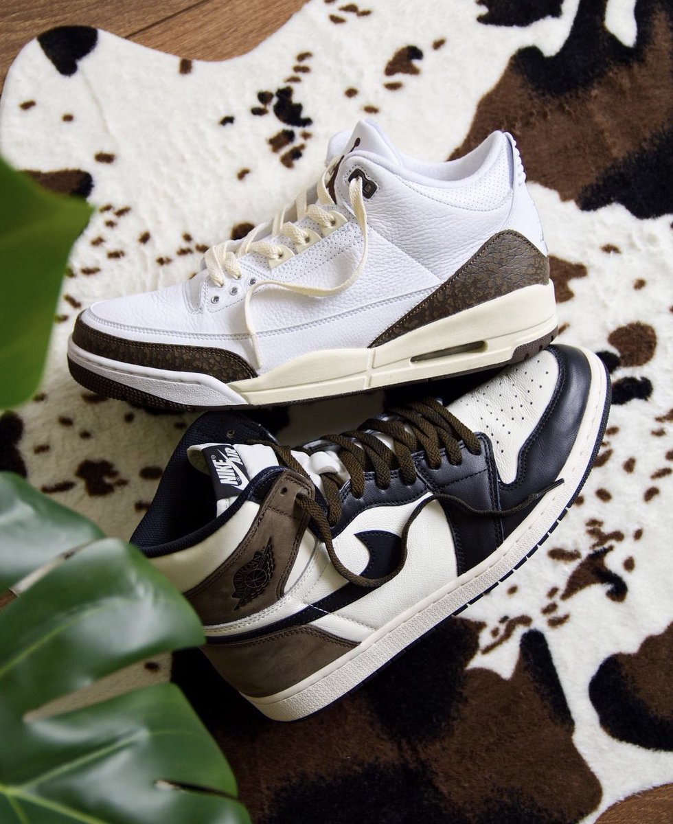 nicekicks's tweet photo. What other Retros need the “Mocha” treatment? ☕️💭 https://t.co/uWTqF4kL2h