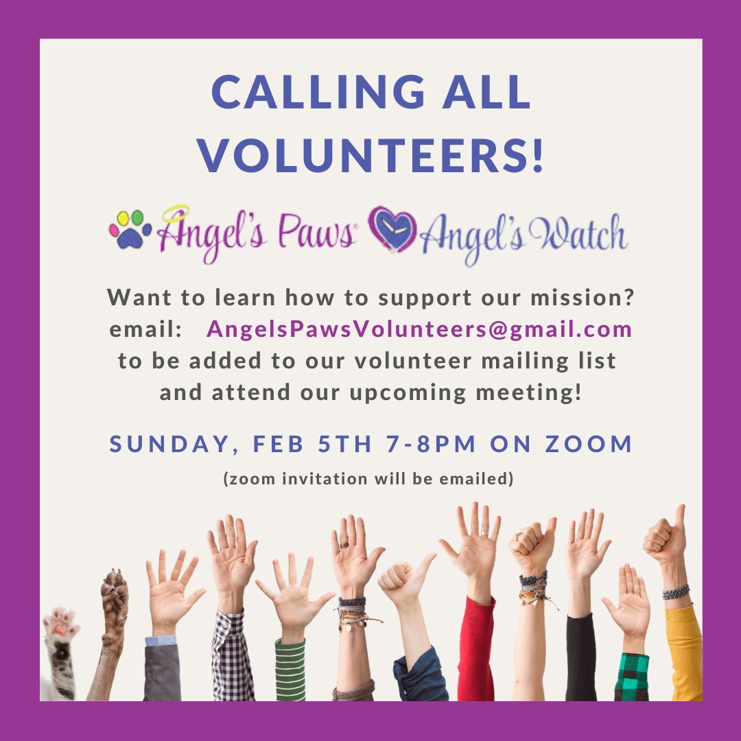 Interested in learning how you can support the mission of Angel's Paws & Angel's Watch? Email our volunteer coordinator to attend our upcoming zoom meeting! #pethospice #cincinnati #bytherainbowbridge #petlosssupport #angelspaws