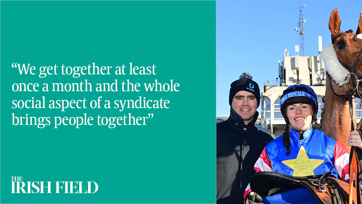 The Irish Field tweet media