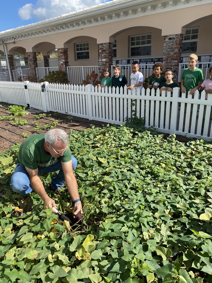 PineCrestSTEM's tweet photo. Researchers in #PCGrade3 joined us in the #PCiLab to learn about different ways to garden to kickoff their Midwest unit. They even got to plant bok choy in the hydroponic system! #PCOutdoorLearning 🌱 https://t.co/jFJ8ib0Jew