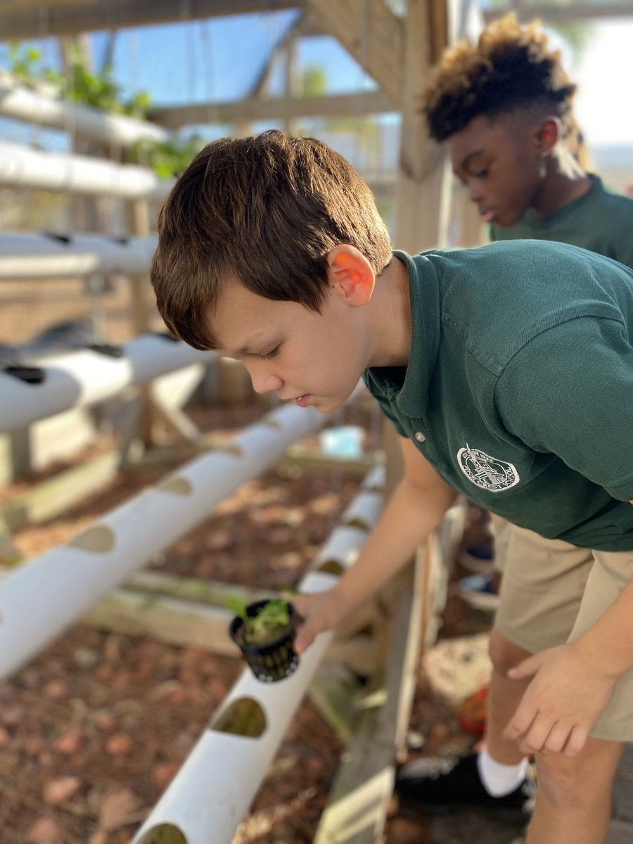 PineCrestSTEM's tweet photo. Researchers in #PCGrade3 joined us in the #PCiLab to learn about different ways to garden to kickoff their Midwest unit. They even got to plant bok choy in the hydroponic system! #PCOutdoorLearning 🌱 https://t.co/jFJ8ib0Jew