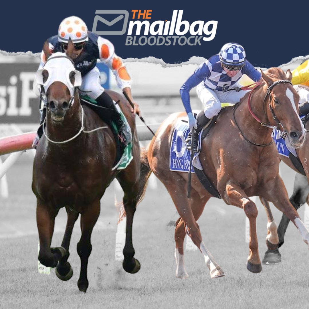 TMBBloodstock's tweet photo. #AtlanticWay and #TruePatriot are our two runners today, both heading to Toowoomba tonight ๐
#AtlanticWay comes off a short freshen-up looking for 5 in a row ๐ช
#TruePatriot is an ex-Victorian who is on debut for us and Currie Racing tonight ๐
Good luck to our owners! ๐ค https://t.co/XjfpeSWLPh