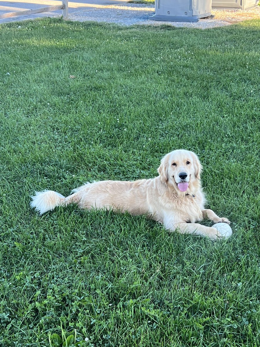 Chris Ritchie tweet media