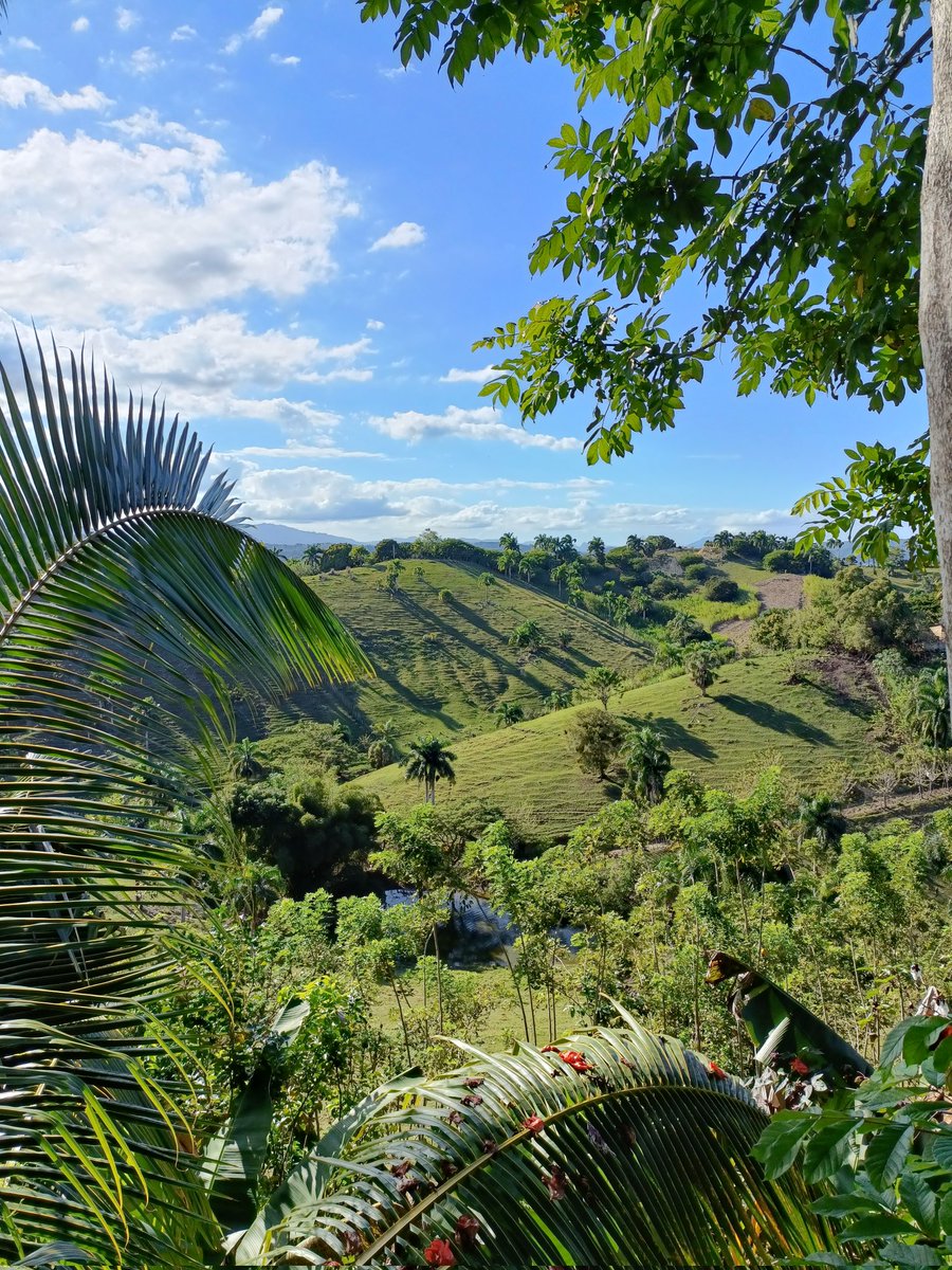 Hab den schönsten Platz der Welt gefunden