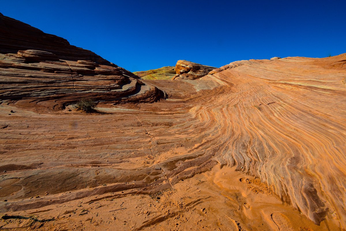 workingitoutnow's tweet photo. THERE'S A FIRE IN THE VALLEY!

#Photos and #videos from my adventures this week at #ValleyofFire State Park in #Nevada. An amazing place!

https://t.co/SiksV8H65G

#photography #hiking #travel #trailpix #adventure #happywandererscott #utphoto #nature #bighornsheep #wildlife #nvwx https://t.co/uOJE6zTjls