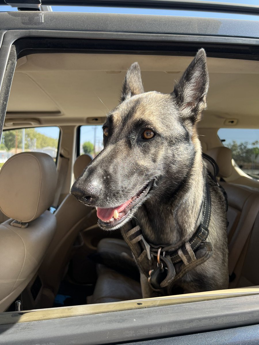 alexandra marie tweet media