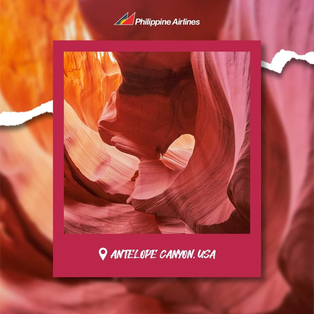 Waanderventure's tweet image. Capture 2023’s color of the year all around the world! 📸 📸

Take your pick from a stunning pink beach to colorful rock formations! 

Book your trip today with us! ✈️✈️

#GlobalTour #WCATravelAndTours #TravelBuddy #TravelBusiness #TravelAndTourism